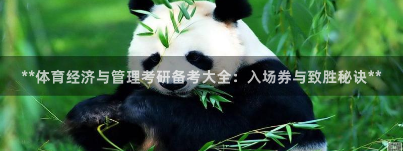 必一体育验证码：**