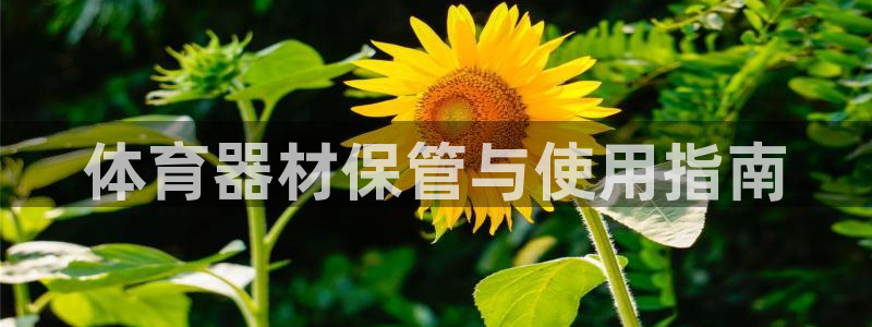 必一体育在线官网：体