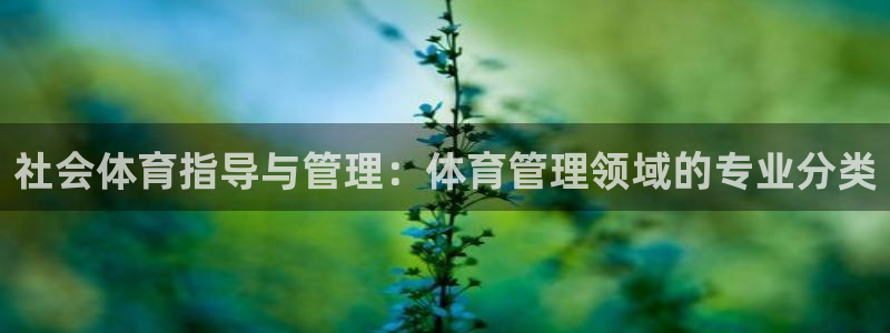 必一运动sport爱