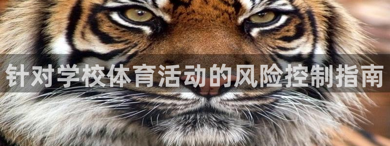 必一体育登录入口