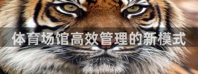 必一体育在线下载：体