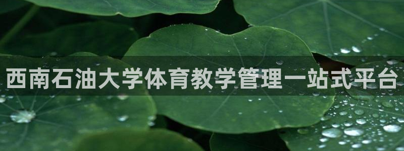 必一体育官网入口：西