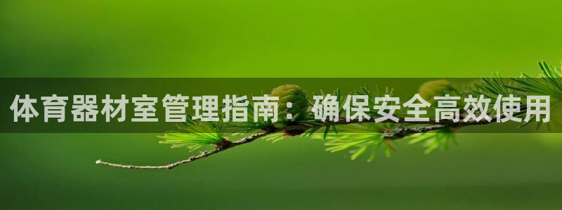 必一体育登录入口