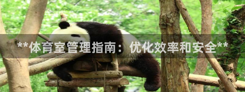 必一体育app下载：