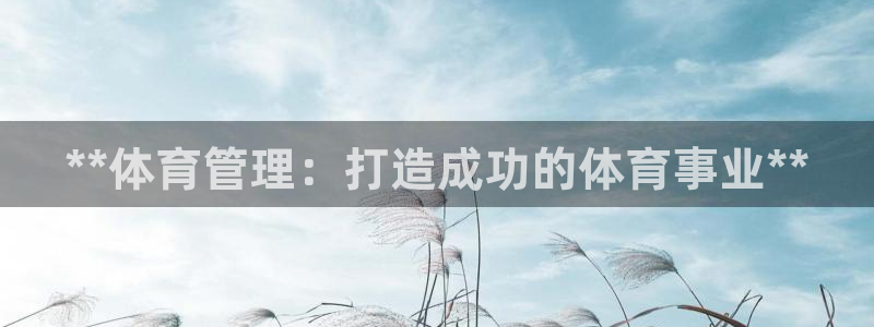 必一体育sport下