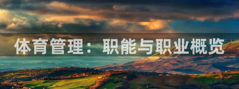 必一体育电子app
