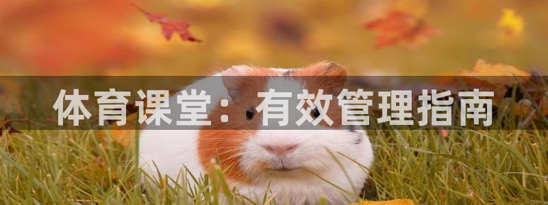 氵必一一厂一