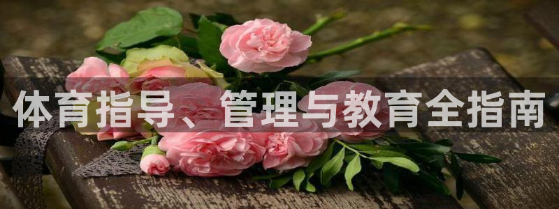 必一体育sport下载