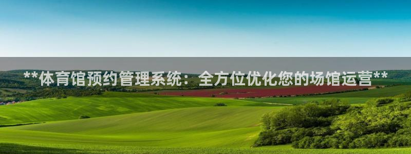 必一体育官网网址：*