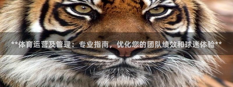 必一体育在线登陆：*