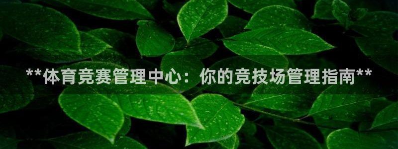 必一运动官网登录入口