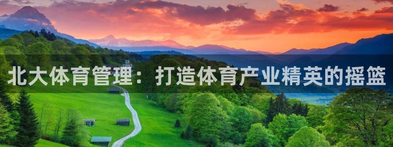 必一运动体：北大体育
