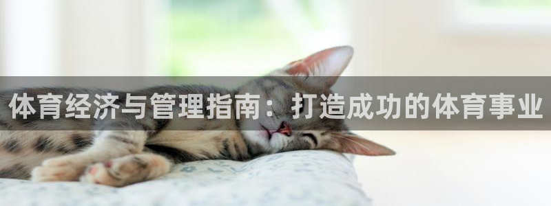 必一体育没了