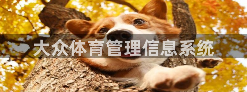 必一体育能提现大金额吗