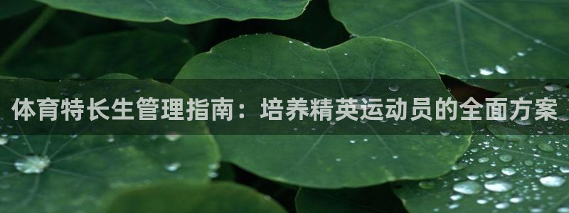 必一运动官网装机吧