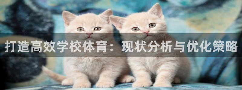 必一体育在哪下