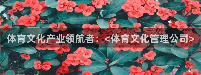 必一体育运动官网
