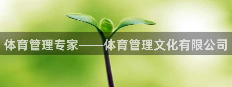必一体育网站：体育管