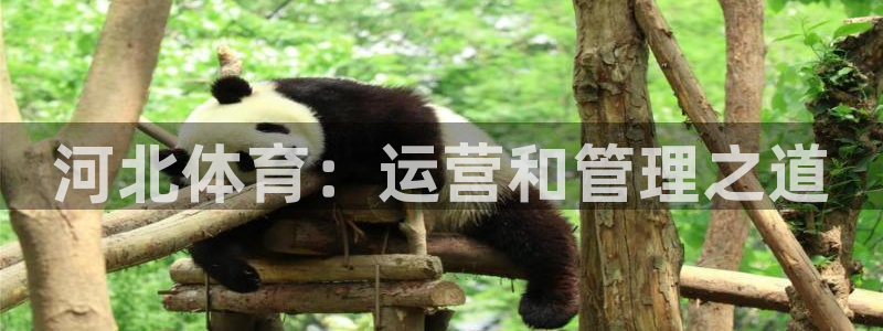 必一体育登录