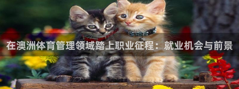 必一体育网站