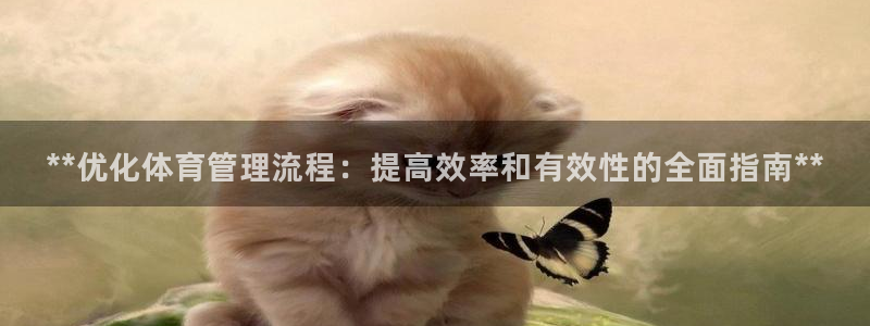 必一运动 b 体育素