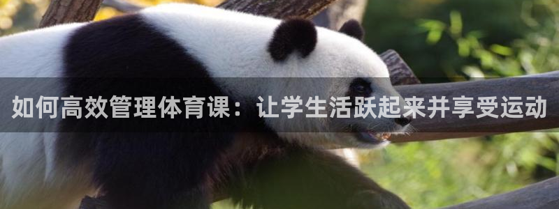 必一体育sport装