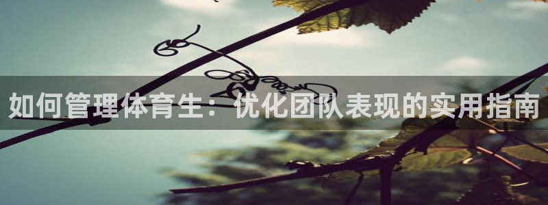 必十二和必一的副作用