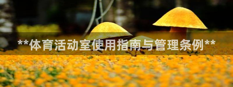必一体育app官方下