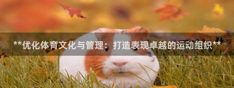 必一体育下载入口：*