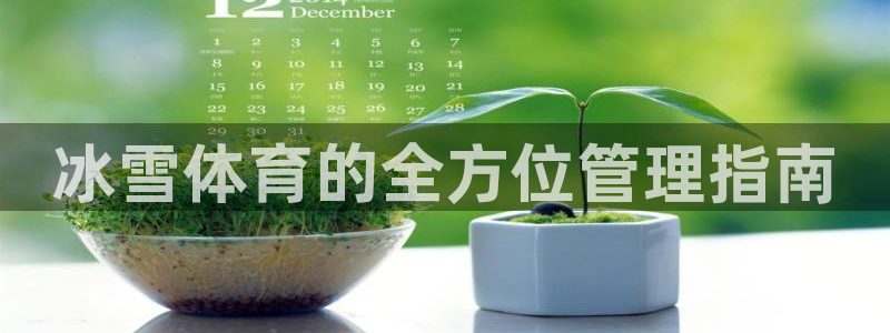 必一体育app下载装机吧