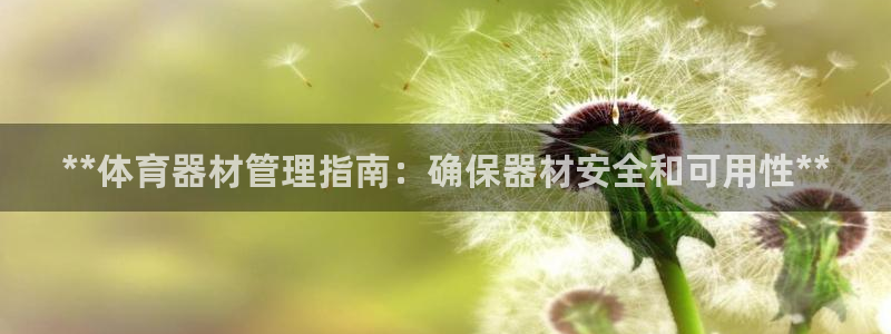 必一体育sport官网
