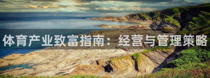必一体育app官方