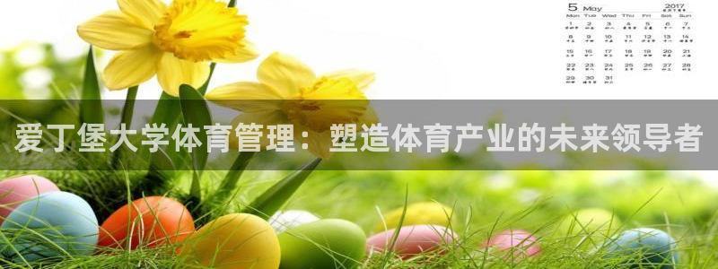 b体育官网下载入口a