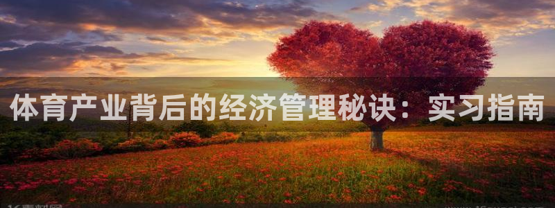 必一运动体