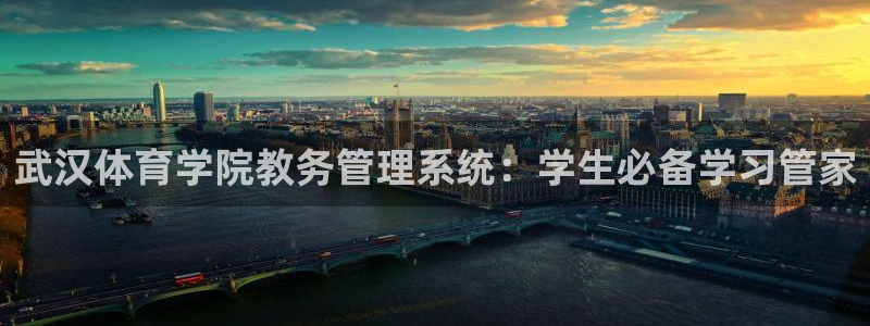 必一体育最新官网入口
