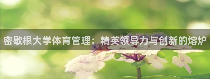必一体育能提现大金额