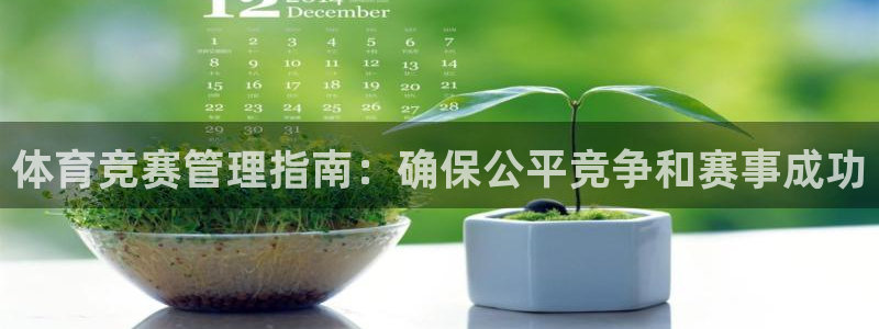 必一体育黑平台