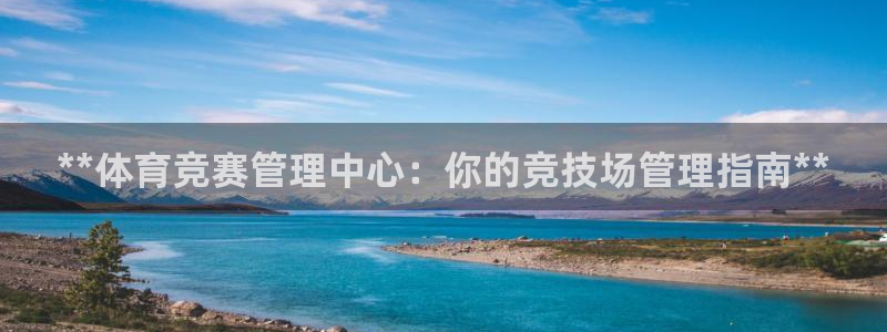 必一体育官方网站入口