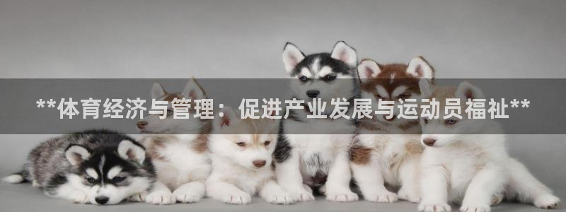 必一体育能提现大金额吗：**体育经济与管理：促进产业发展与运