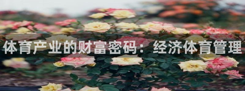 必一运动·(b-sp