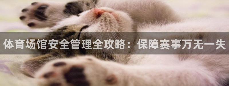 必一体育sport官