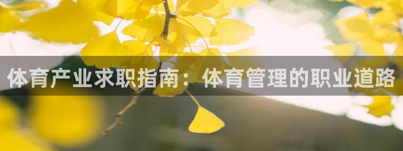 必一体育下载入口