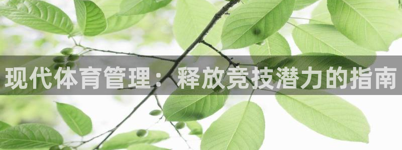 必一体育网站：现代体
