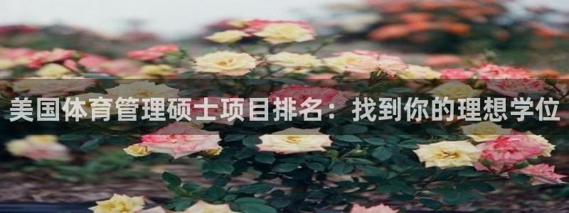 必一体育下载一样吗