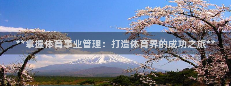 b体育官网下载入口a