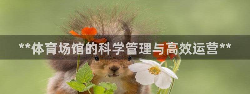 必一体育登录入口：*