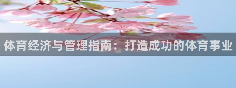 必一体育sport官方网站