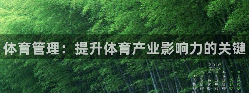 必一体育