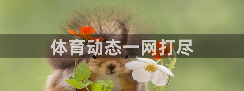 必一体育运动app下