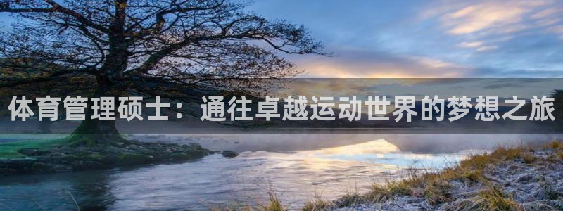 必一体育sportB